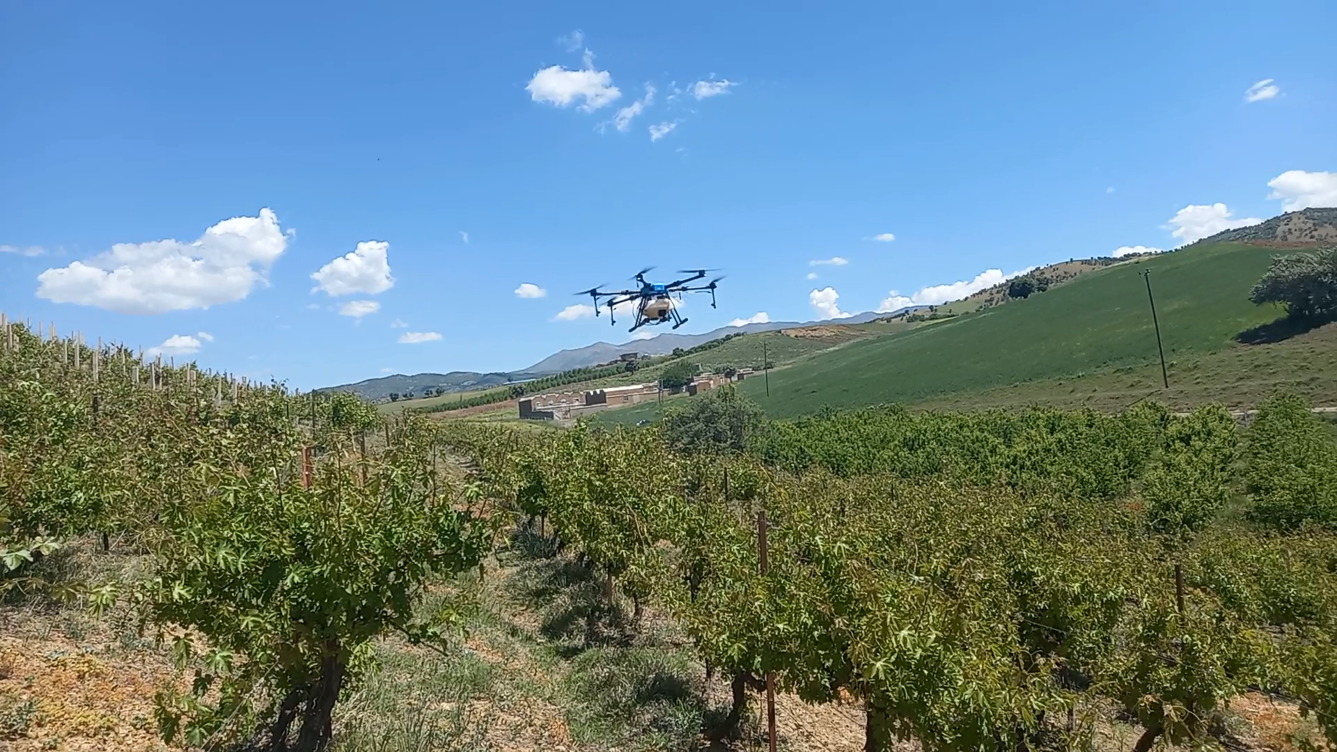 پهپاد سمپاش تیام 10 - مزرعه انگور
EFT E610 drone - پهباد سم پاش اوجیران
پهپاد سمپاش - پهباد سمپاش - پهپاد سم پاش - سمپاشی با پهپادهای عمود پرواز کواد تیارا - اوجیران - اوج آسمان زاگرس - خرید پهپاد کشاورزی - فروش پهپاد کشاورزی
مزایای سمپاشی با پهپاد نسبت به سمپاشی سنتی با تراکتور یا دستی